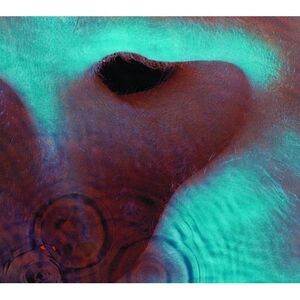 Pink Floyd - Meddle  CD